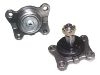 Ball Joint:43330-39195