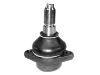 Ball joint:281 407 361