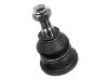 Joint de suspension Ball joint:77 00 421 804