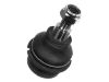 Ball joint:181 405 371 C