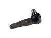 Ball joint:307 407 365 2