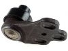 Ball Joint:895 407 366A