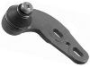 Ball Joint:893 505 365 C