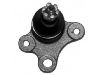 Ball Joint:43360-87501