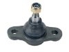 Ball Joint:51760-2E000