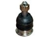 Joint de suspension Ball Joint:43308-59035