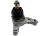 Joint de suspension Ball Joint:43360-39095