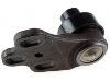 Ball Joint:895 407 365 A