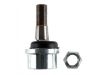 Ball Joint:5017061AA