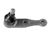 Joint de suspension Ball Joint:FB01-34-550