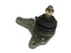 Ball Joint:43350-39125