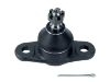 Ball Joint:51760-1G000