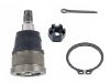 Joint de suspension Ball Joint:51215-SCV-A00