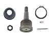 Ball Joint:51350-SHJ-A01