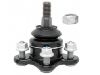 Ball Joint:89040241
