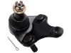 Ball Joint:43330-19245