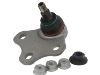 Ball Joint:8J0 407 365