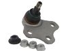 Ball Joint:8J0 407 366