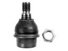 Ball Joint:10 93 0151