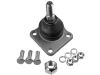 Ball Joint:21232904192